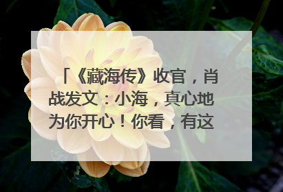 《藏海传》收官，肖战发文：小海，真心地为你开心！你看，有这么多人懂你！