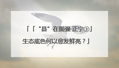 「“县”在图强·正宁③」生态底色何以愈发鲜亮？