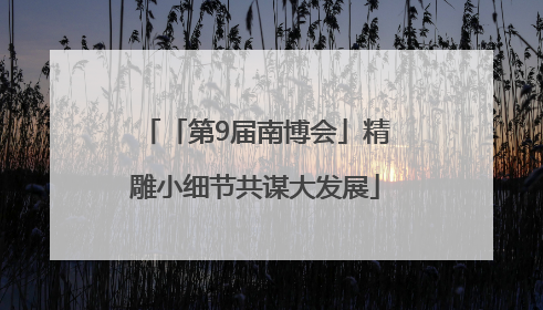 「第9届南博会」精雕小细节共谋大发展