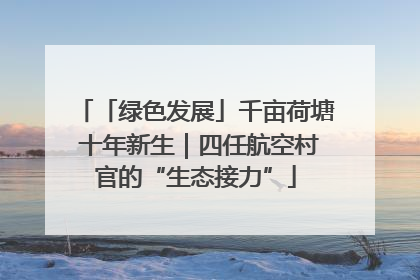 「绿色发展」千亩荷塘 十年新生｜四任航空村官的“生态接力”