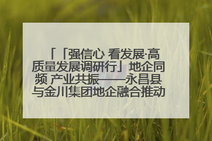 「强信心 看发展·高质量发展调研行」地企同频 产业共振——永昌县与金川集团地企融合推动重大项目建设