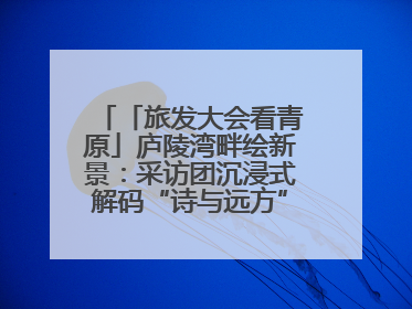 「旅发大会看青原」庐陵湾畔绘新景：采访团沉浸式解码“诗与远方”（图）