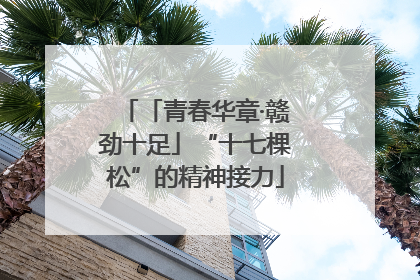 「青春华章·赣劲十足」“十七棵松”的精神接力