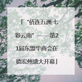 “侨连五洲·七彩云南”——第21届东盟华商会在德宏州盛大开幕