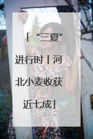 “三夏”进行时丨河北小麦收获近七成