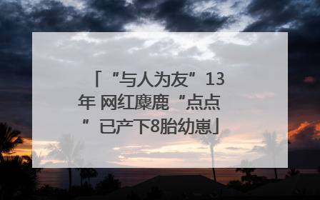 “与人为友”13年 网红麋鹿“点点”已产下8胎幼崽