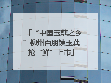 “中国玉藕之乡”柳州百朋镇玉藕抢“鲜”上市