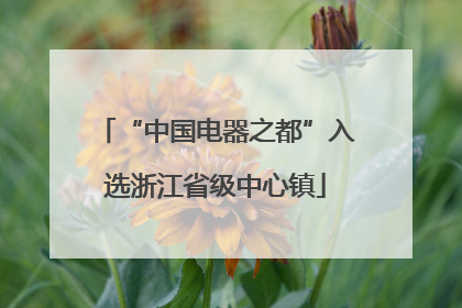 “中国电器之都”入选浙江省级中心镇