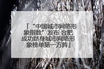“中国城市网络形象指数”发布 合肥成功跻身城市网络形象榜单第一方阵
