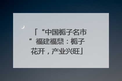 “中国栀子名市”福建福鼎：栀子花开，产业兴旺