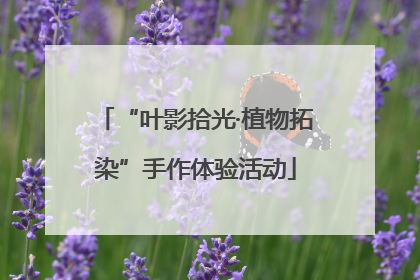 “叶影拾光·植物拓染”手作体验活动