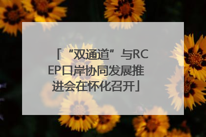 “双通道”与RCEP口岸协同发展推进会在怀化召开