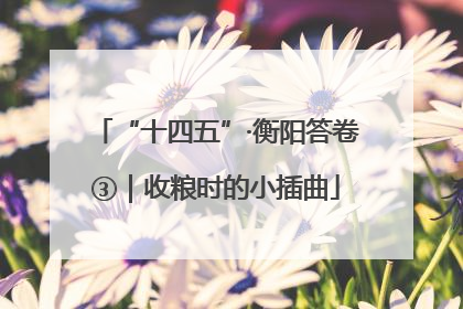 “十四五”·衡阳答卷③｜收粮时的小插曲