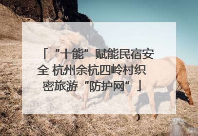 “十能”赋能民宿安全 杭州余杭四岭村织密旅游“防护网”