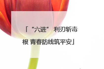 “六进” 利刃斩毒根 青春防线筑平安