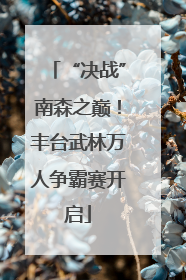 “决战”南森之巅！丰台武林万人争霸赛开启