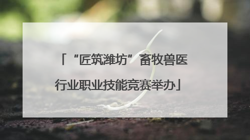 “匠筑潍坊”畜牧兽医行业职业技能竞赛举办
