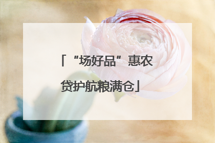 “场好品”惠农贷护航粮满仓