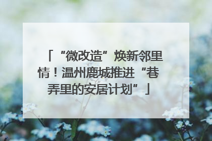 “微改造”焕新邻里情！温州鹿城推进“巷弄里的安居计划”