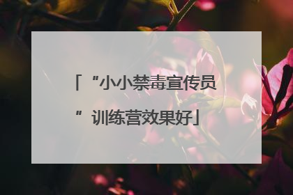“小小禁毒宣传员”训练营效果好