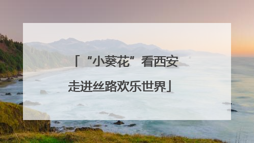 “小葵花”看西安走进丝路欢乐世界