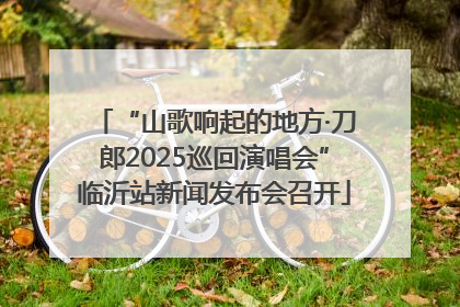 “山歌响起的地方·刀郎2025巡回演唱会”临沂站新闻发布会召开