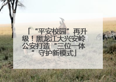 “平安校园”再升级！黑龙江大兴安岭公安打造“三位一体”守护新模式