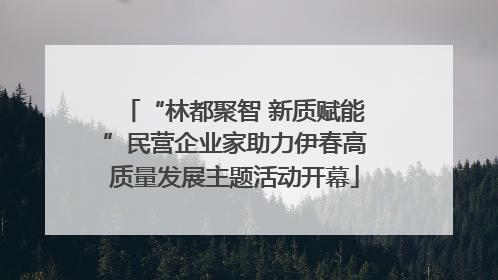 “林都聚智 新质赋能”民营企业家助力伊春高质量发展主题活动开幕
