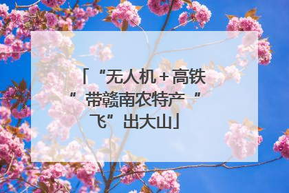 “无人机＋高铁”带赣南农特产“飞”出大山