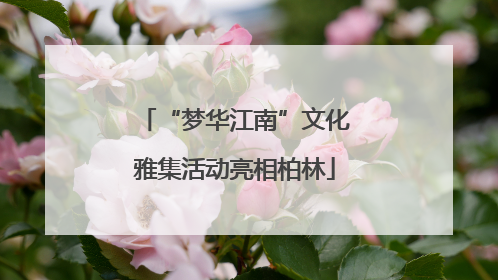 “梦华江南”文化雅集活动亮相柏林