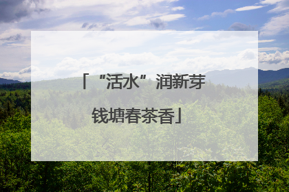 “活水”润新芽 钱塘春茶香