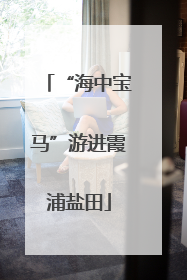 “海中宝马”游进霞浦盐田