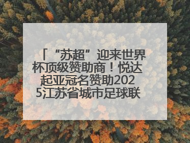 “苏超”迎来世界杯顶级赞助商！悦达起亚冠名赞助2025江苏省城市足球联赛盐城赛区