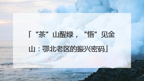 “茶”山醒绿，“悟”见金山：鄂北老区的振兴密码