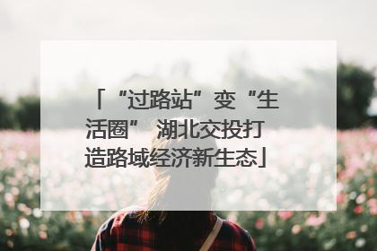 “过路站”变“生活圈” 湖北交投打造路域经济新生态