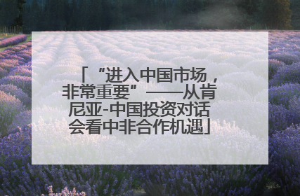 “进入中国市场，非常重要”——从肯尼亚-中国投资对话会看中非合作机遇