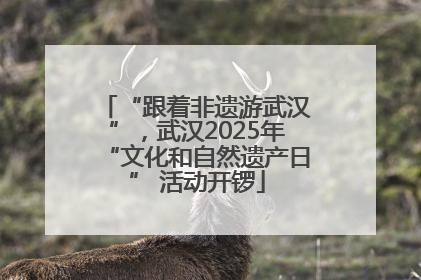 “跟着非遗游武汉”，武汉2025年“文化和自然遗产日” 活动开锣