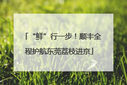 “鲜”行一步！顺丰全程护航东莞荔枝进京