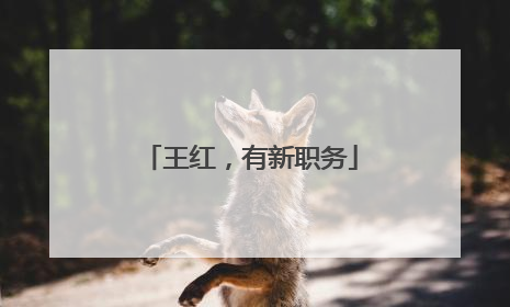 王红，有新职务