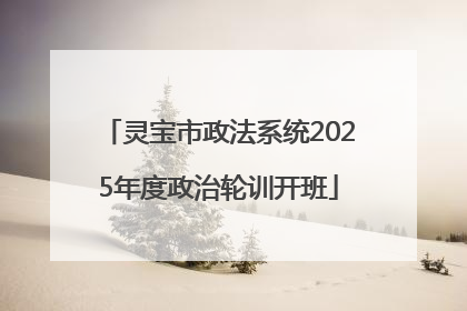 灵宝市政法系统2025年度政治轮训开班