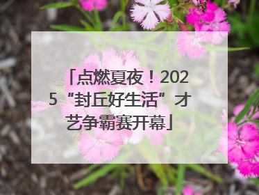 点燃夏夜！2025“封丘好生活”才艺争霸赛开幕