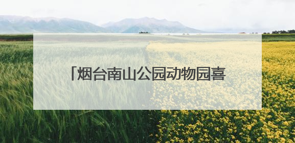 烟台南山公园动物园喜迎上海长颈鹿“新娘”