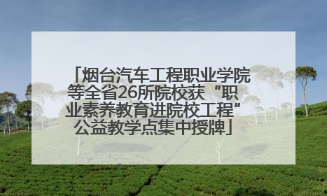 烟台汽车工程职业学院等全省26所院校获“职业素养教育进院校工程”公益教学点集中授牌