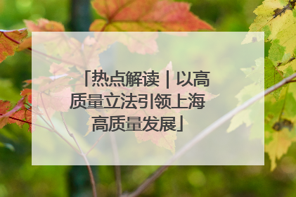 热点解读｜以高质量立法引领上海高质量发展