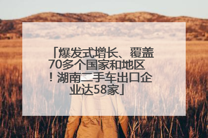 爆发式增长、覆盖70多个国家和地区！湖南二手车出口企业达58家