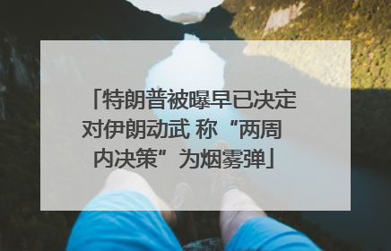 特朗普被曝早已决定对伊朗动武 称“两周内决策”为烟雾弹