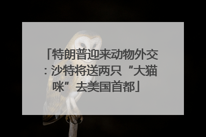 特朗普迎来动物外交：沙特将送两只“大猫咪”去美国首都