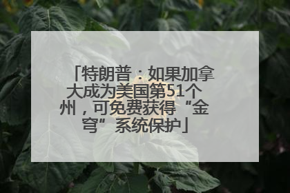 特朗普：如果加拿大成为美国第51个州，可免费获得“金穹”系统保护