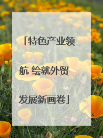 特色产业领航 绘就外贸发展新画卷