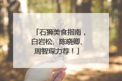 石狮美食指南，白岩松、陈晓卿、周智琛力荐！